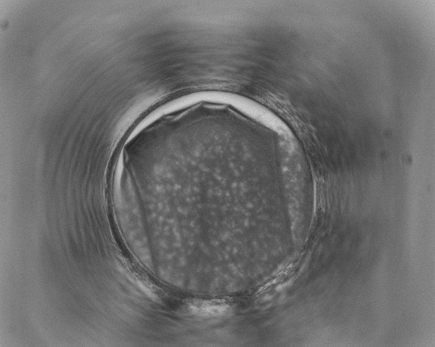 X0000088400147200706121243