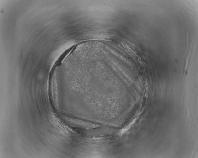 X0000088400148200706121243