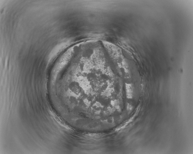 X0000088400149200706121243