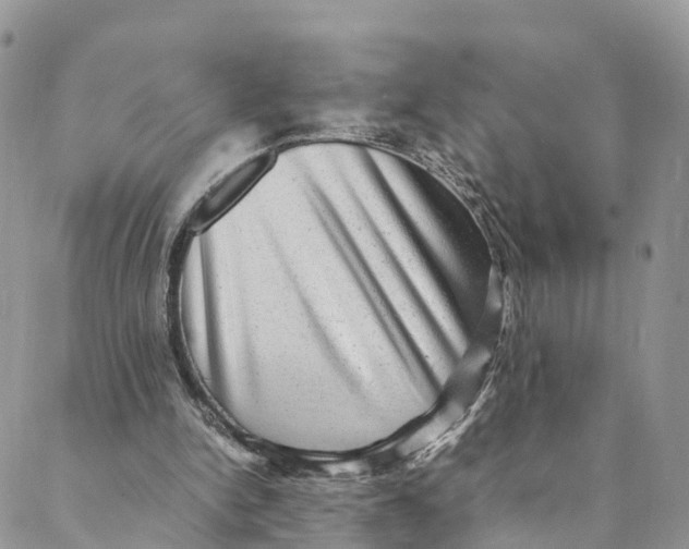 X0000088400150200706121243