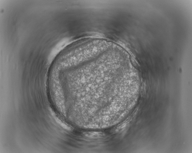 X0000088400151200706121243