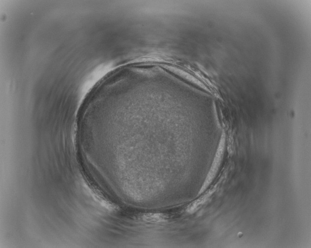 X0000088400152200706121243