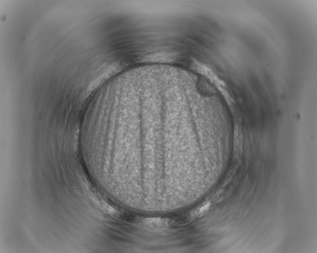 X0000088400153200706121243