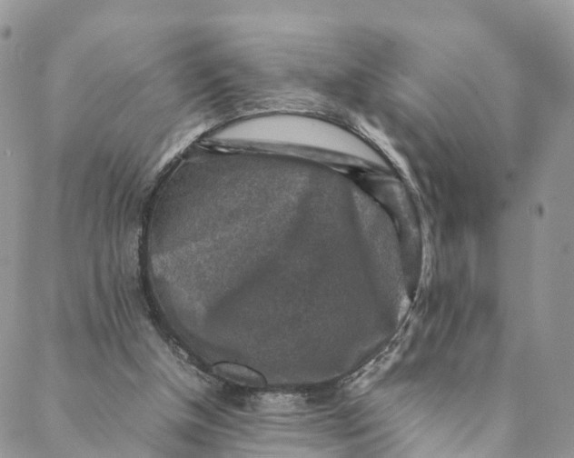 X0000088400154200706121243