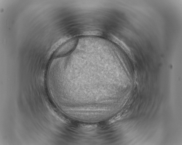 X0000088400155200706121243