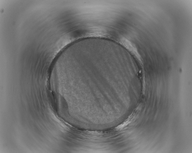 X0000088400156200706121244