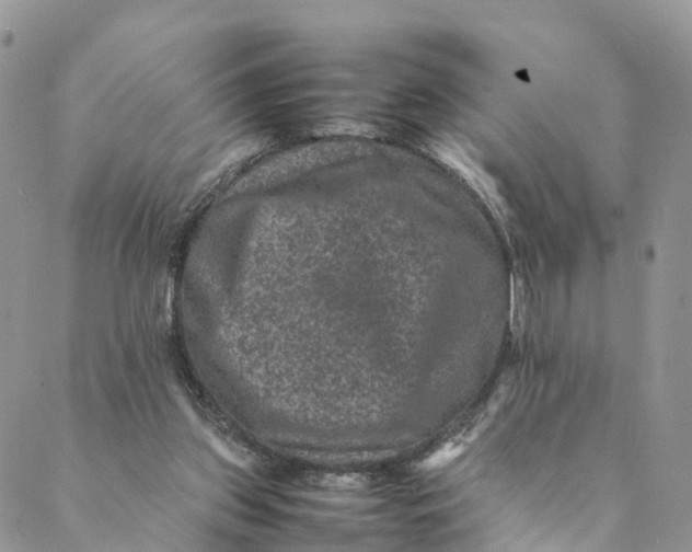 X0000088400157200706121244