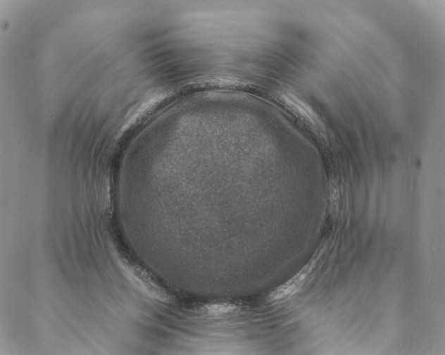 X0000088400158200706121244