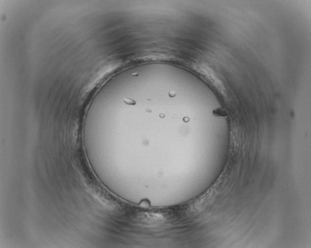 X0000088400159200706121244