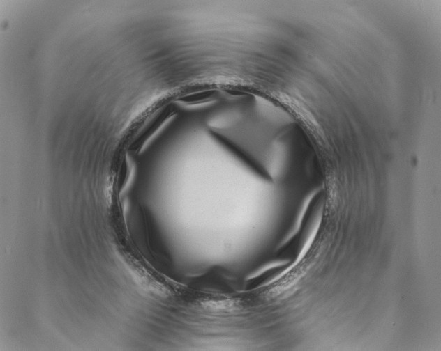 X0000088400160200706121244