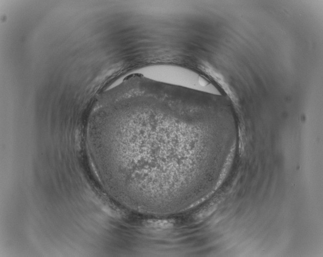 X0000088400161200706121244