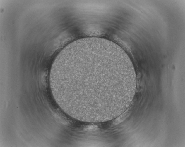 X0000088400162200706121244