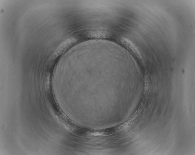 X0000088400163200706121244