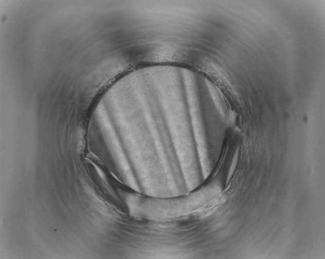 X0000088400164200706121244