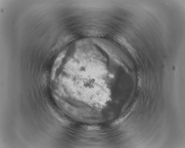 X0000088400165200706121244