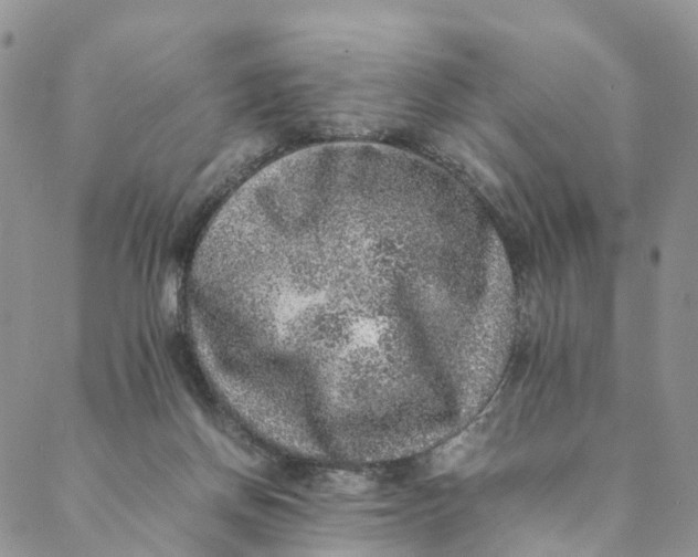 X0000088400166200706121244