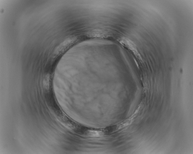 X0000088400167200706121244