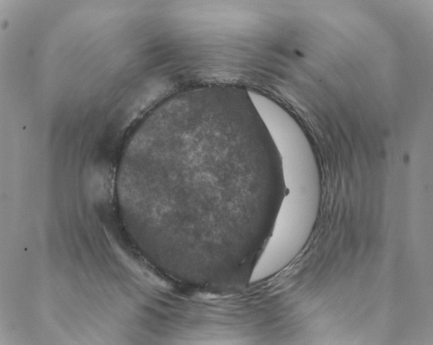 X0000088400168200706121244