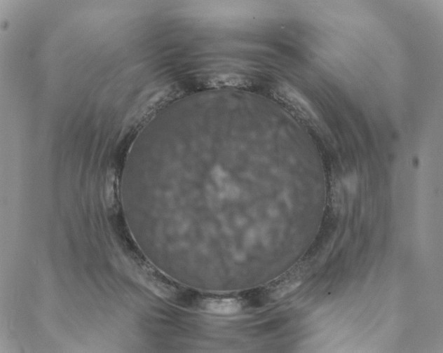 X0000088400169200706121244