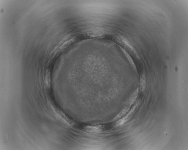 X0000088400170200706121244