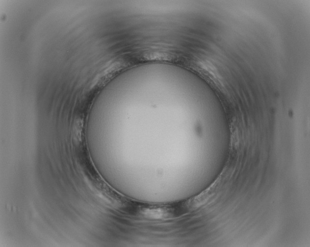 X0000088400171200706121244