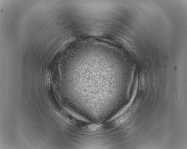 X0000088400172200706121244