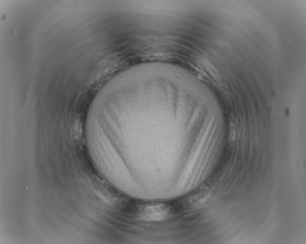 X0000088400173200706121244