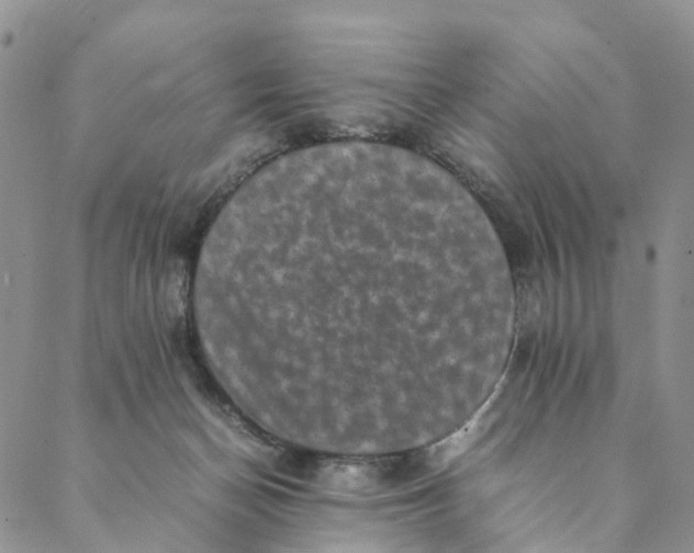 X0000088400174200706121244