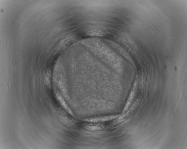 X0000088400175200706121244