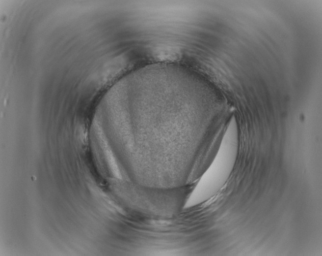 X0000088400176200706121244