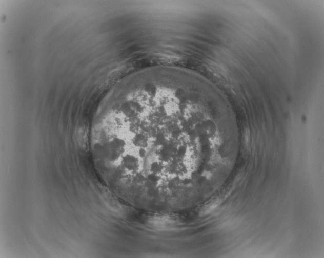 X0000088400177200706121244