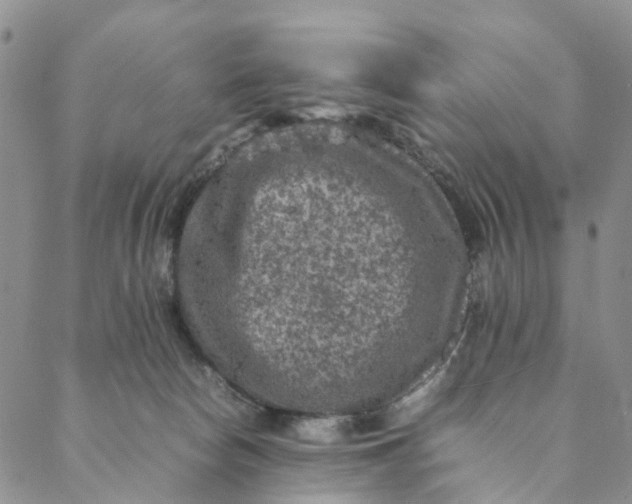 X0000088400178200706121244