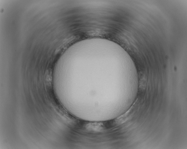 X0000088400179200706121244