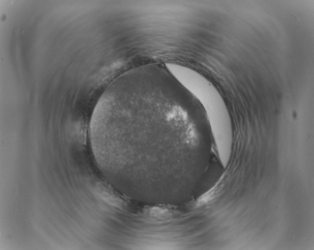 X0000088400180200706121244