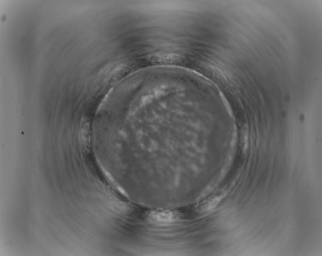 X0000088400181200706121244