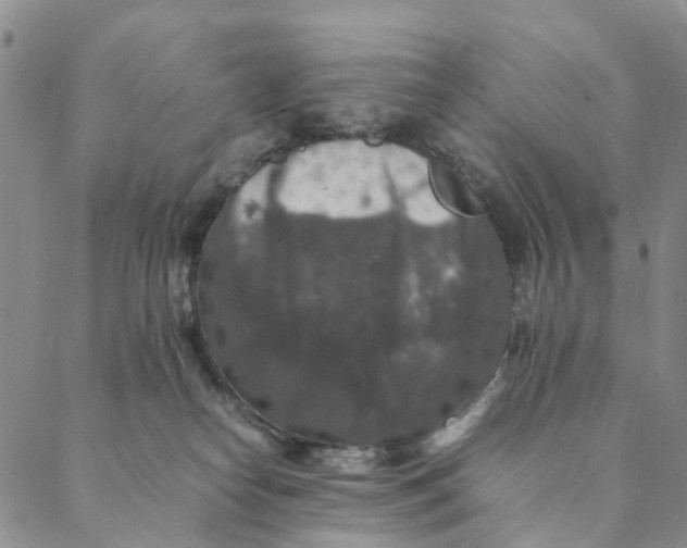 X0000088400182200706121244