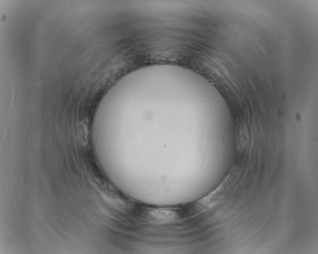 X0000088400183200706121244