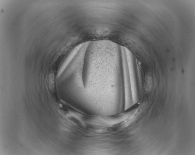 X0000088400184200706121244