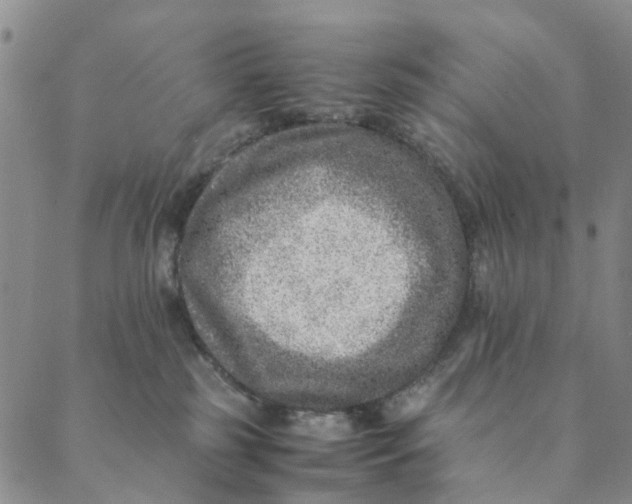 X0000088400185200706121244