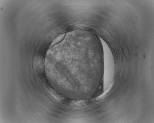 X0000088400186200706121244