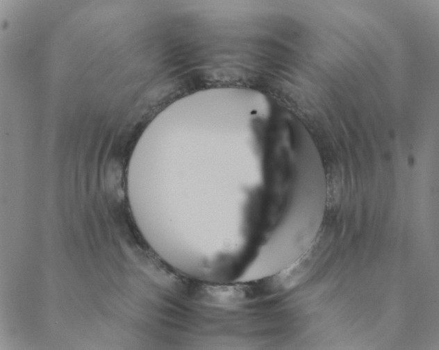 X0000088400187200706121244