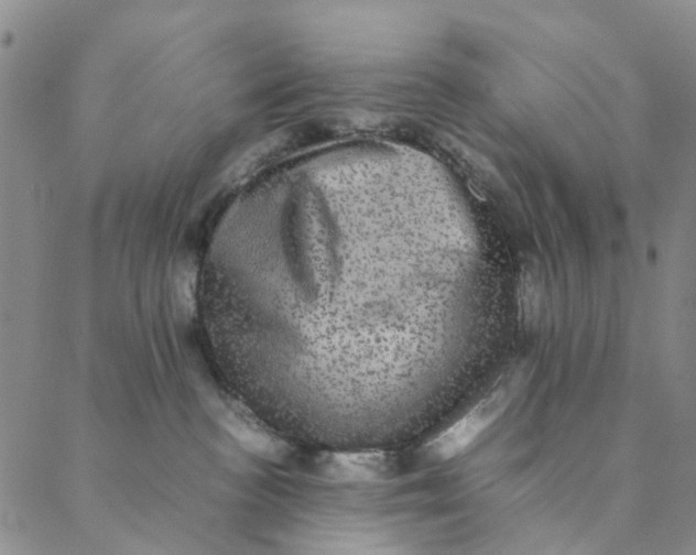 X0000088400188200706121244