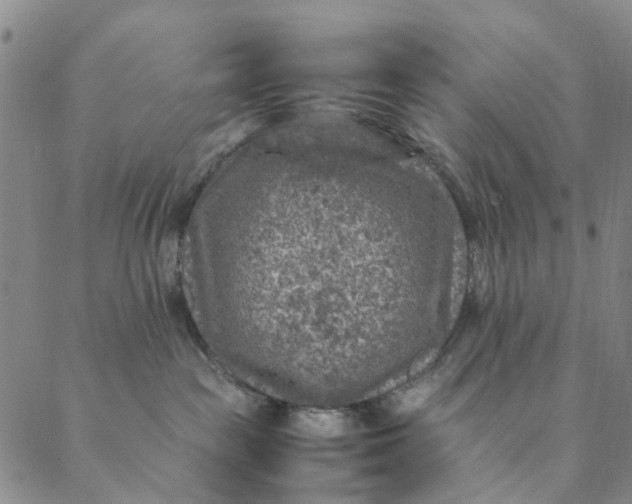 X0000088400189200706121244