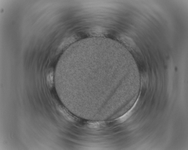 X0000088400190200706121244