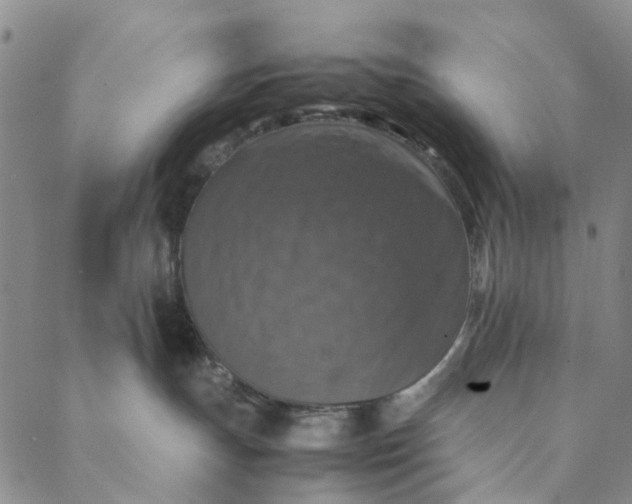 X0000088400191200706121244