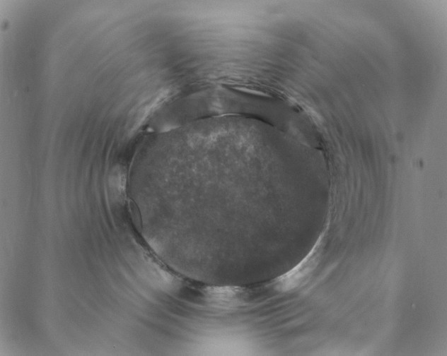 X0000088400192200706121244