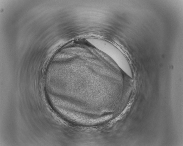 X0000088400193200706121243