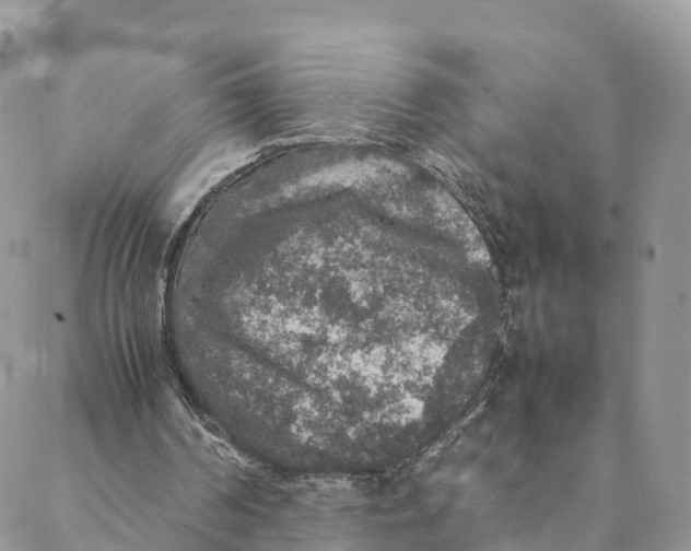 X0000088400194200706121243