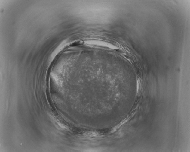 X0000088400195200706121243