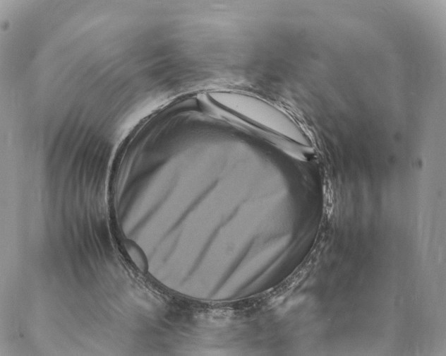 X0000088400196200706121243